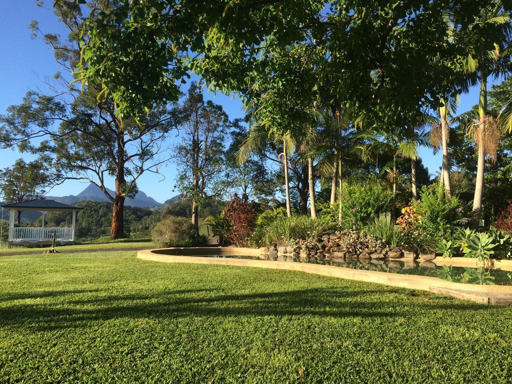 Hillcrest Mountain View Retreat Bed & Breakfast Crystal Creek Екстериор снимка